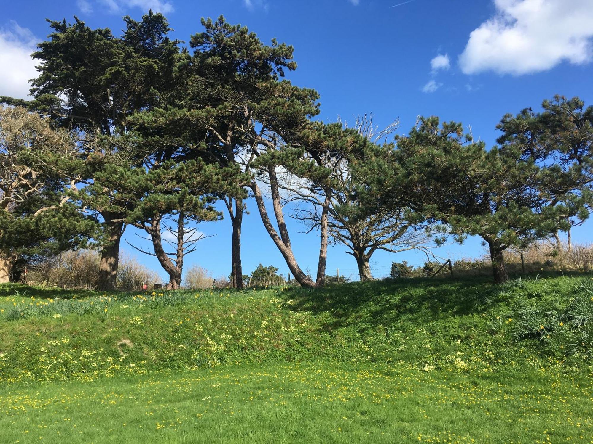 Lisle Combe Bed and Breakfast Ventnor Εξωτερικό φωτογραφία